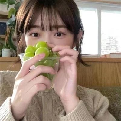 大人父母官封面