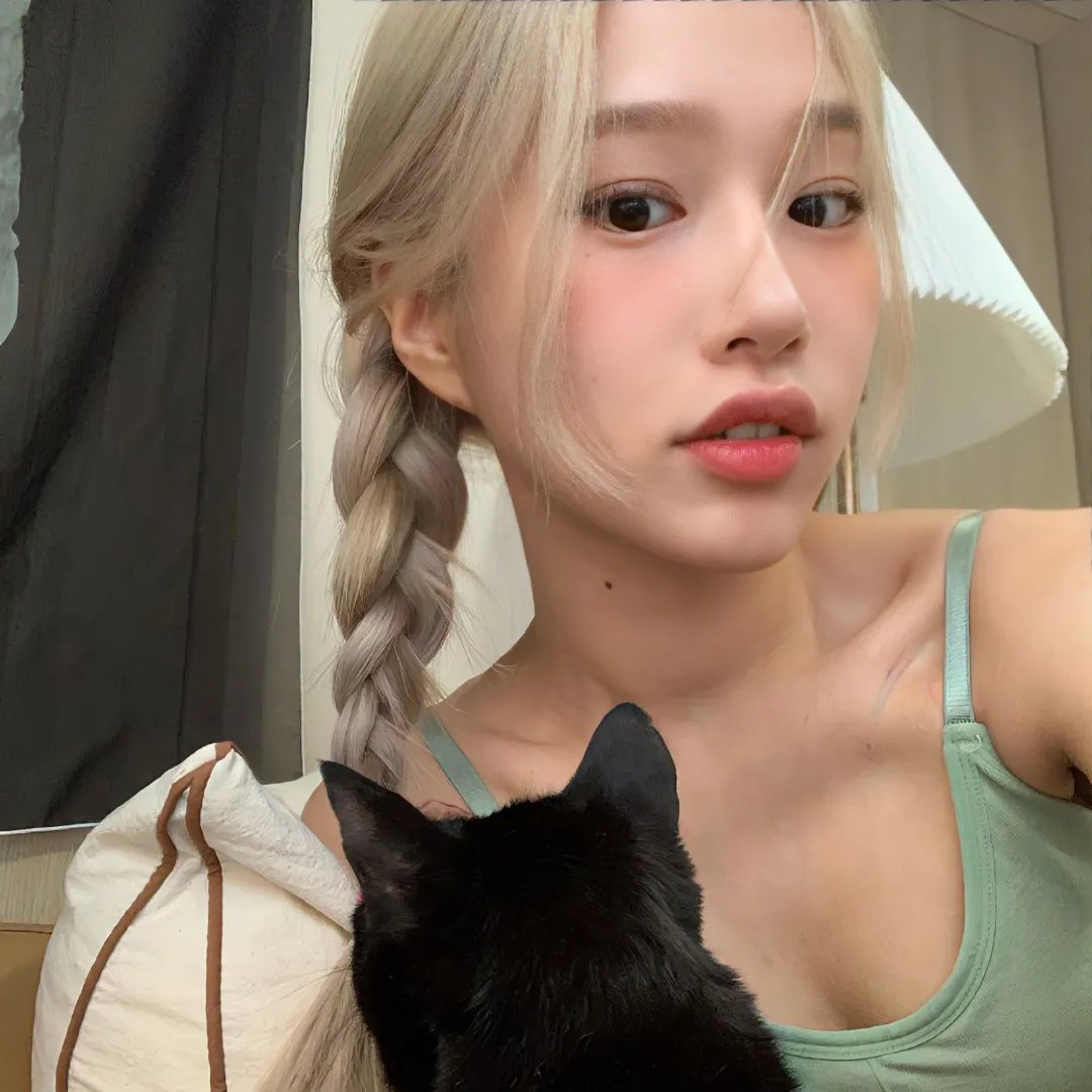猫咪情缘封面